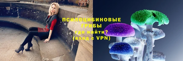 мдпв Верея