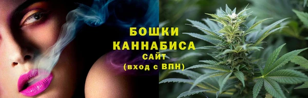 мдпв Верея