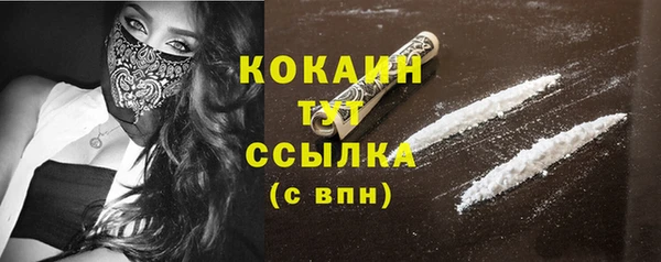 мдпв Верея